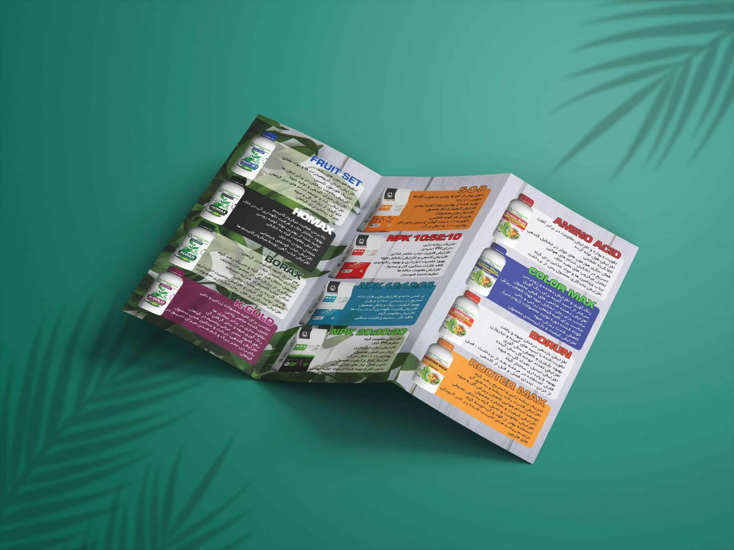 Brochure.Mockup.999-scaled.webp